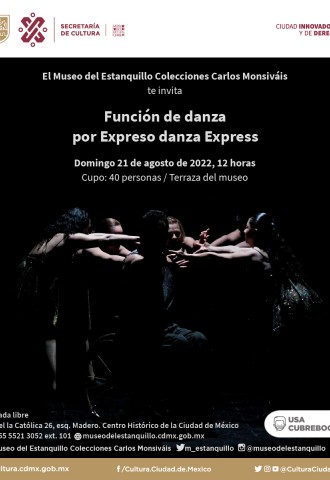 Función de danza por Expreso danza express