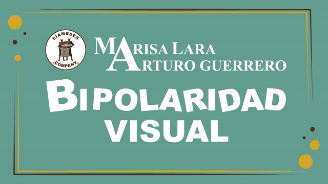 Bipolaridad Visual